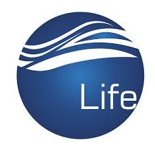 Logo da empresa Life Ambiental Engenharia